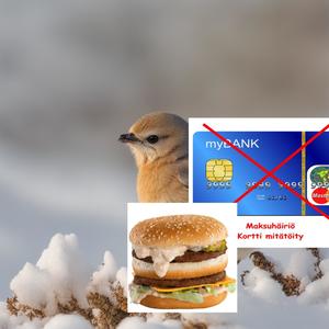 Maksuhäiriömerkintä (feat. Timo of the Night) (Remastered|Explicit)