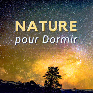 Nature pour Dormir 101 - Bruit de la pluie, oiseaux et eau pour dormir profondément