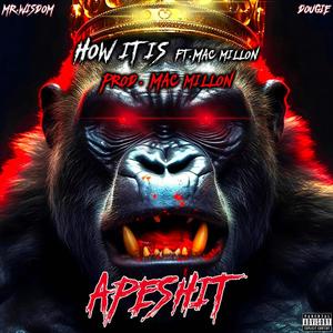 How It Is (feat. Mr. Wisdom & Mac Millon) (Explicit)
