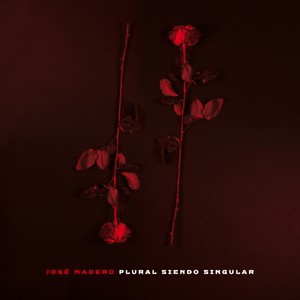 Plural Siendo Singular (Album Version)