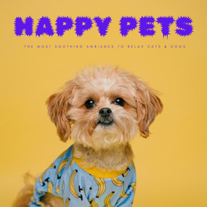 Happy Pets: The Most Soothing Ambiance To Relax Cats & Dogs