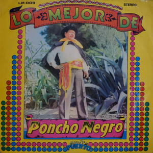 Lo mejor de Poncho Negro