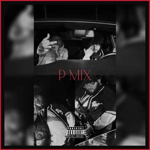 P MIX