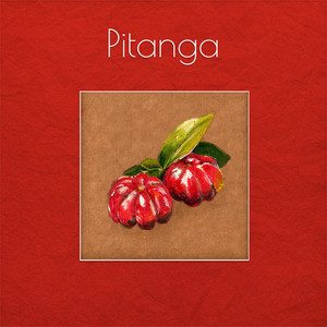 Eu Quero É Botar Meu Bloco na Rua