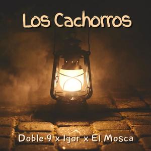 Los Cachorros (feat. El Igor & El Mosca) [Explicit]