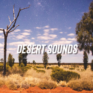 Desert Sounds (Explicit)