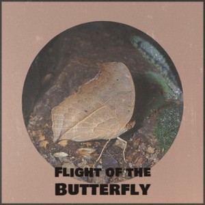 Flight of the Butterfly