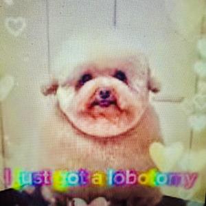 Lobotomy (feat. DORK) (Sped Up & Reverb) (Explicit)