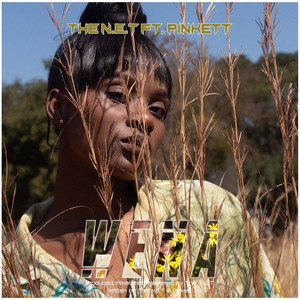 Wena (feat. Pinkett)