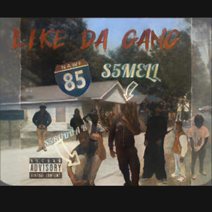 Like Da Gang (feat. S5BUDDA B & S5Mell) [Explicit]