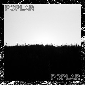 Poplar