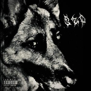 CAGNOLINO (Explicit)