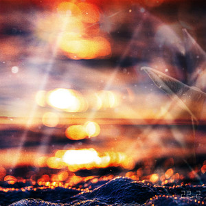 Sunny day, Sunny life