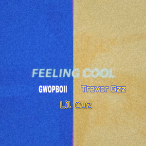 Feeling Cool (Explicit)