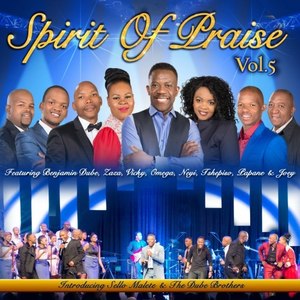 Spirit of Praise, Vol. 5