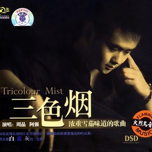 周晶 - 明天我要嫁给你了