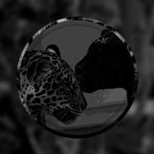 DEVOUR YOU (Explicit)