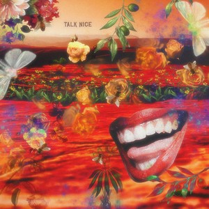 Talk Nice (Explicit)