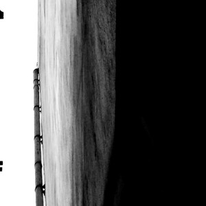 Dollar Finance Insurance