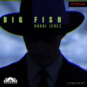 Big Fish (SYNTHS STEMS)