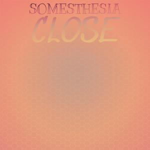 Somesthesia Close