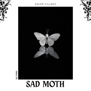 Sad Moth