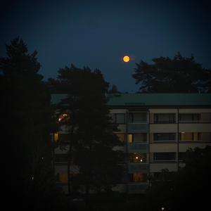 All I Want (one take)