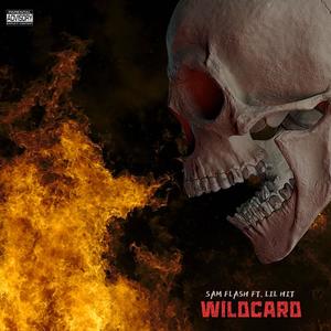 WILDCARD (Explicit)