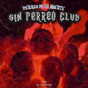 SIN PERREO CLUB (Explicit)