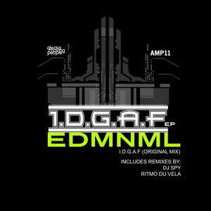 I.D.G.A.F (Original Mix)