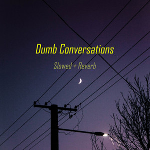 Dumb Conversations (Slowed + Reverb)