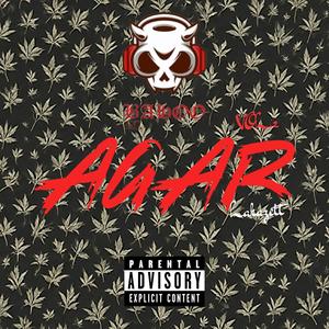 AGAR, Vol. 2 (Explicit)