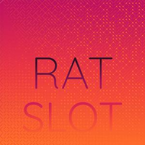 Rat Slot