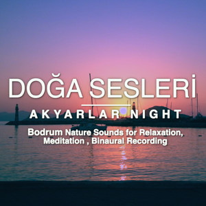 Akyarlar Night - Bodrum Nature Sounds For Relaxation, Meditation Binaural Recording