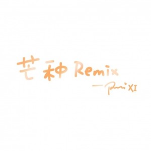 芒种 Remix