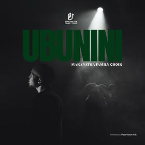 Ubunini