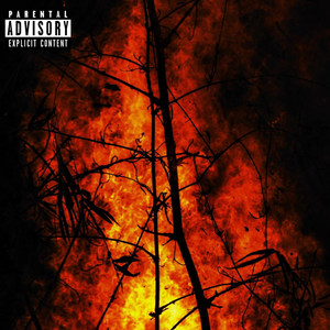 Burn(Free Jigga) (Explicit)