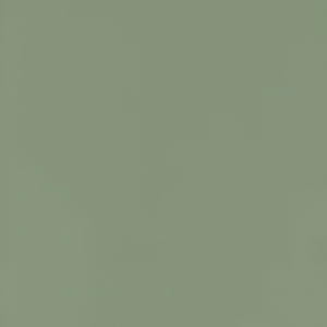 Jeans (feat. Plaa & yshaouzi) (Explicit)