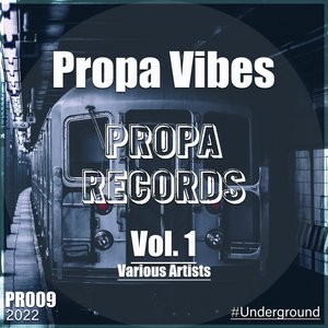 Propa Vibes, Vol. 1