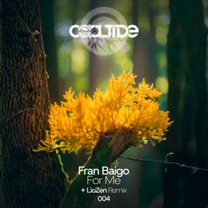 For Me (LioZen Remix)