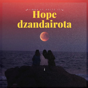 Hope Dzandairota