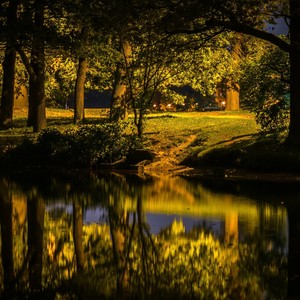 Sons de la Nature