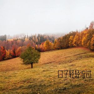 日子轻轻流过