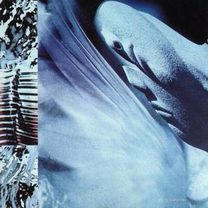 Man With The Plan (Explicit)