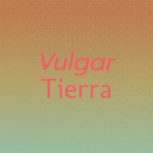 Vulgar Tierra