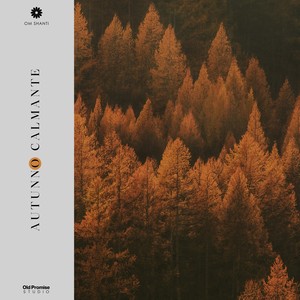 Better Days on the Bay