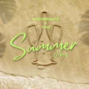 Summer Vibes (freestyle) (Explicit)