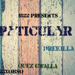 Particular (feat. Dre K) (Explicit)