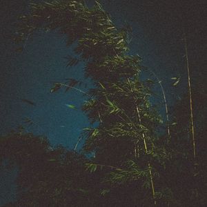 Fading Light-Grimmmz