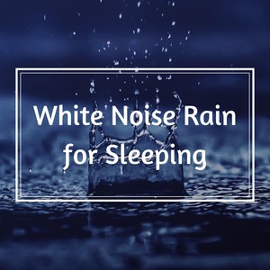 White Noise Rain for Sleeping - Peaceful Rainfall